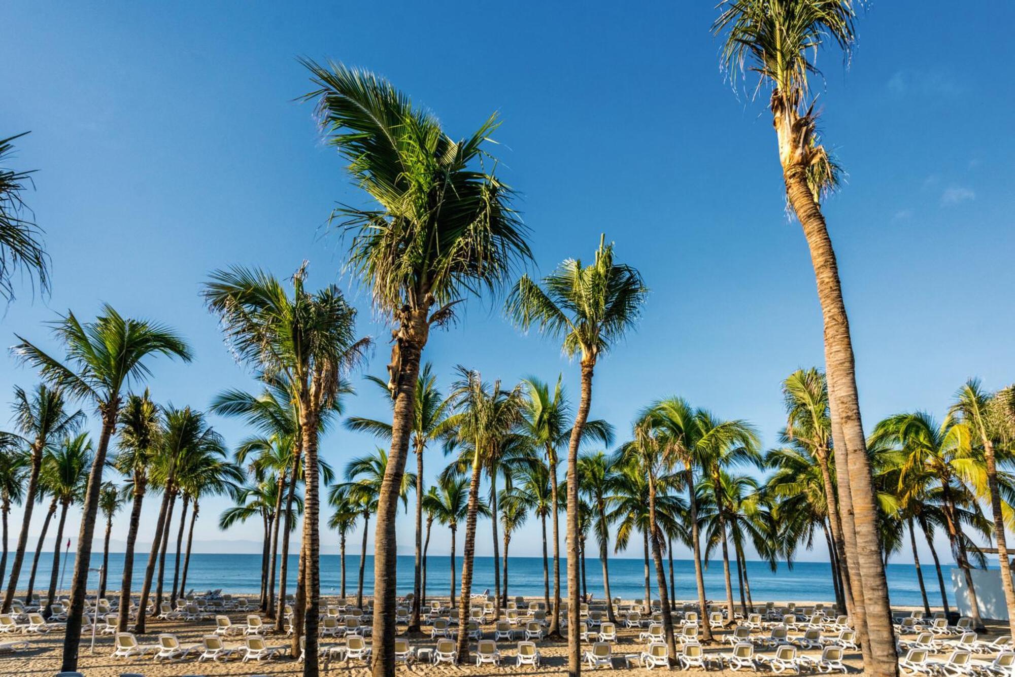 Riu Vallarta Нуэво-Вальярта Экстерьер фото